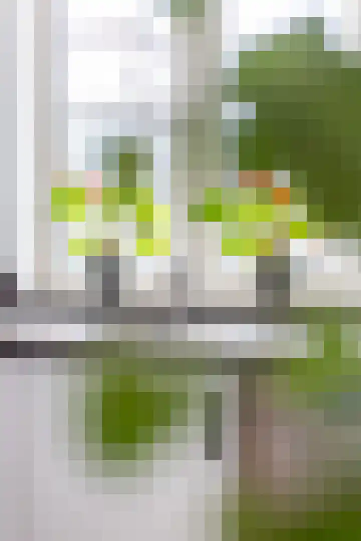 Jacob van Heemskercklaan 92 Maassluis thumbnail 26