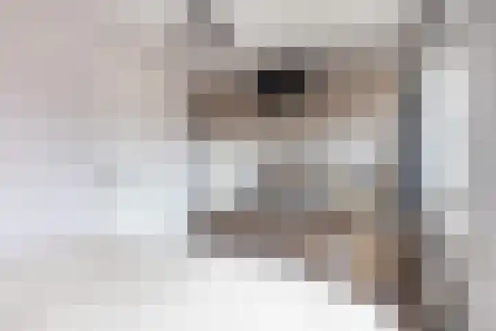 Jacob van Heemskercklaan 92 Maassluis thumbnail 32
