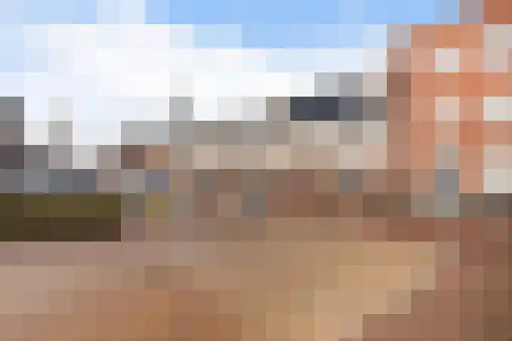 Jacob van Heemskercklaan 92 Maassluis thumbnail 44
