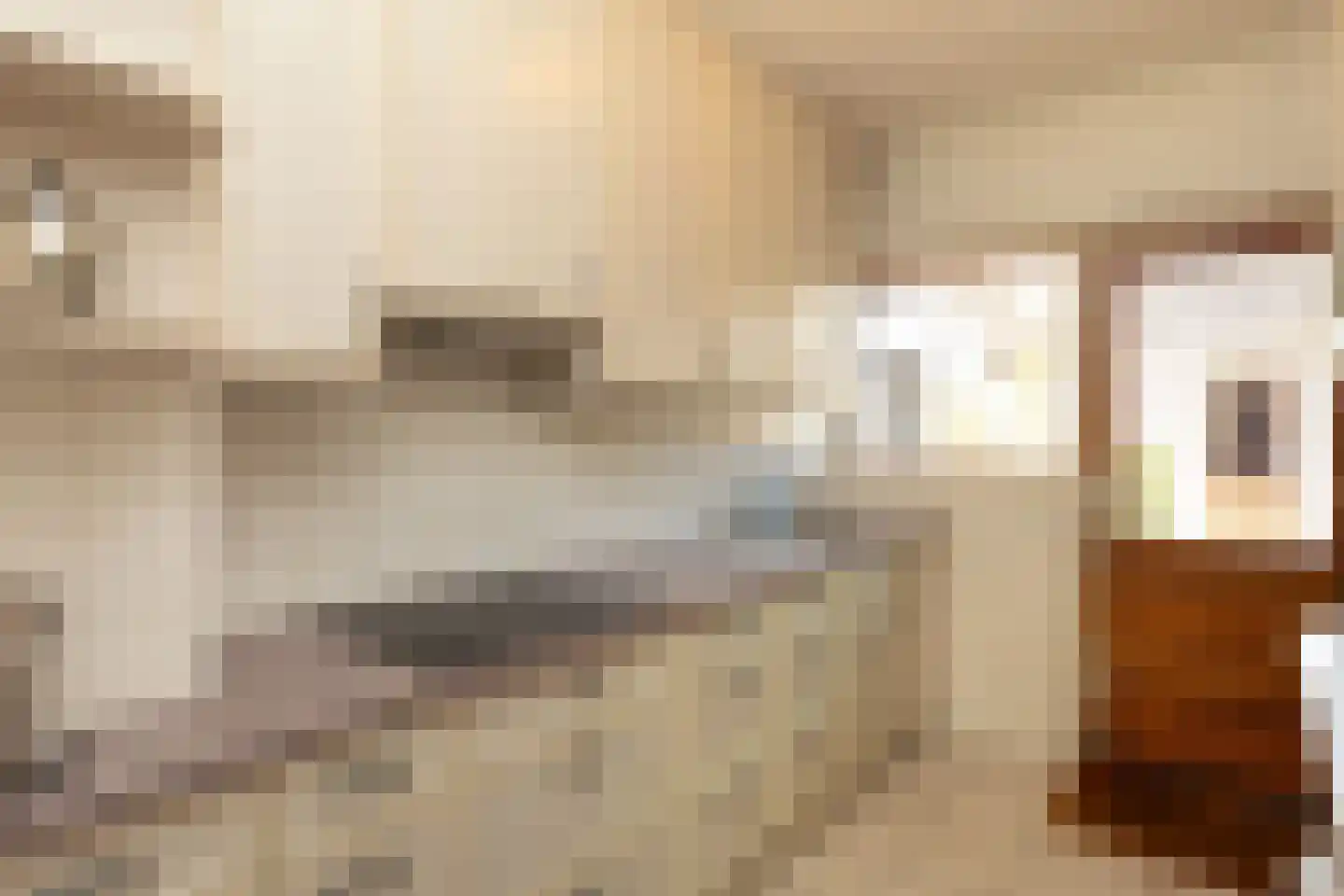 Jacob van Heemskerckstraat 10 Hilversum thumbnail 11