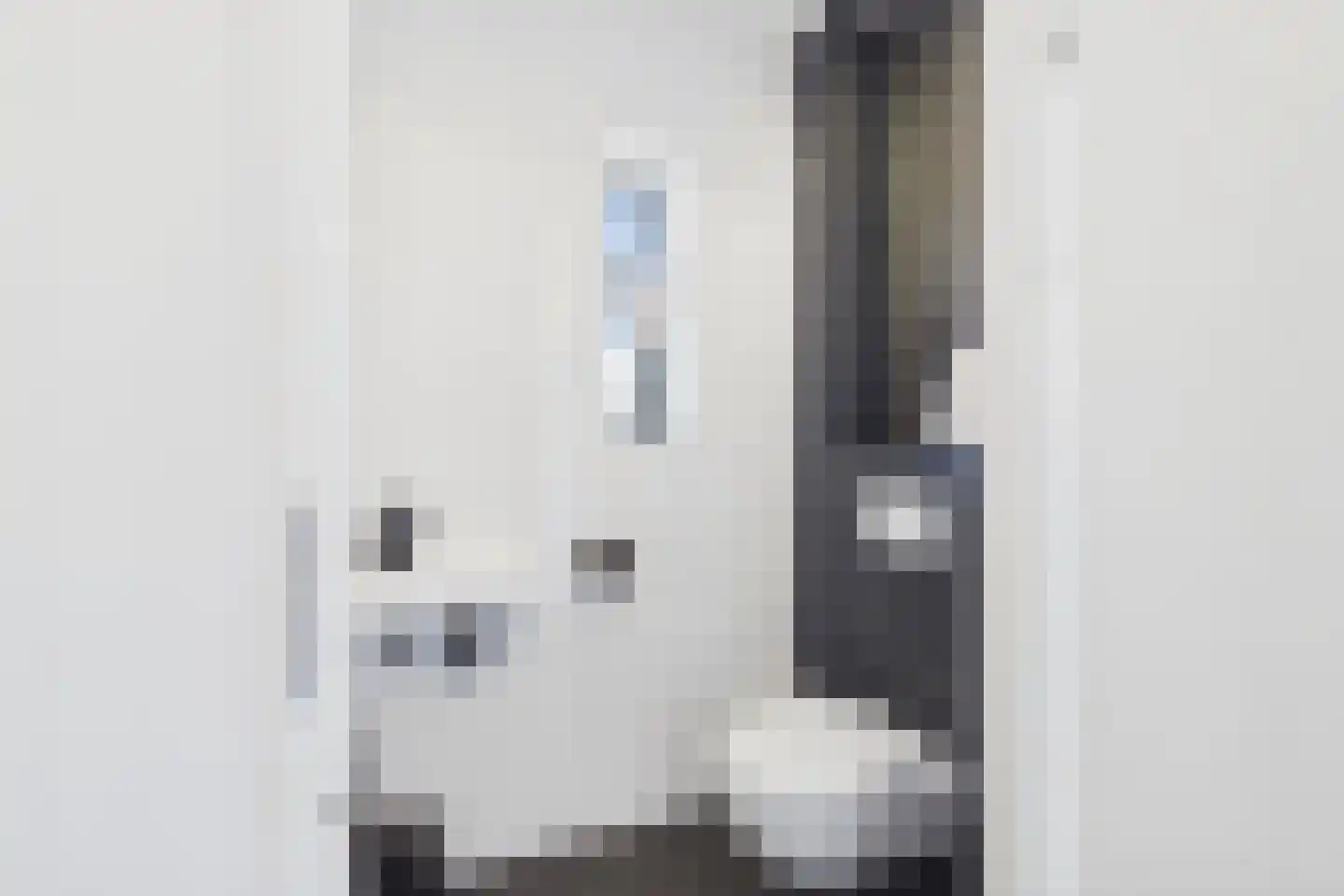 Jacob van Heemskerckstraat 11 a Kloosterzande thumbnail 10
