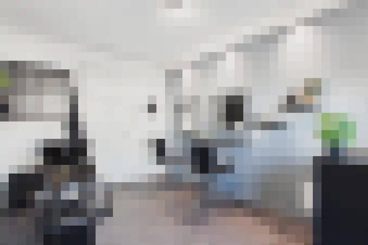 Jacob van Heemskerckstraat 11 a Kloosterzande thumbnail 23