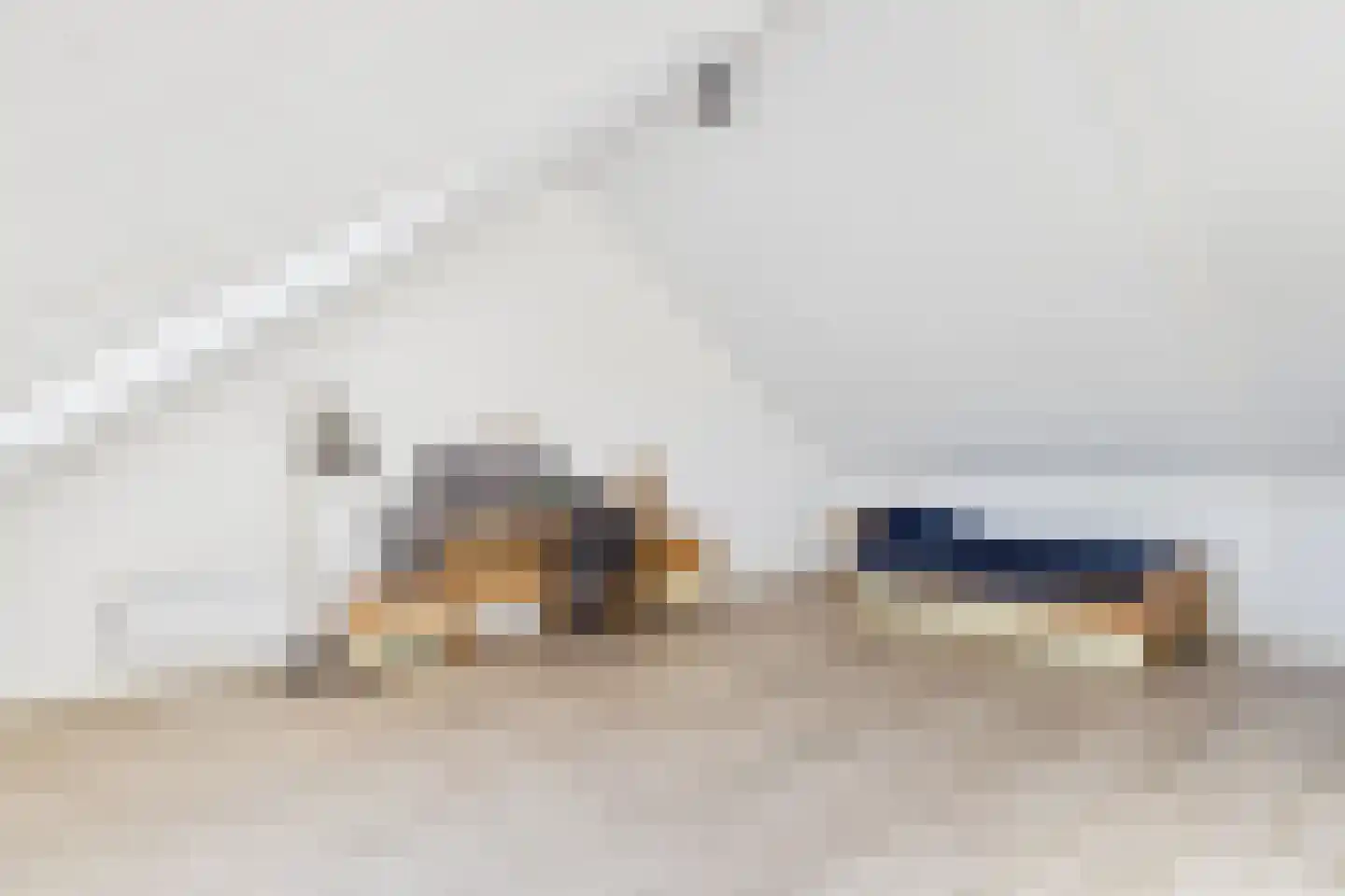 Jacob van Heemskerckstraat 11 a Kloosterzande thumbnail 36