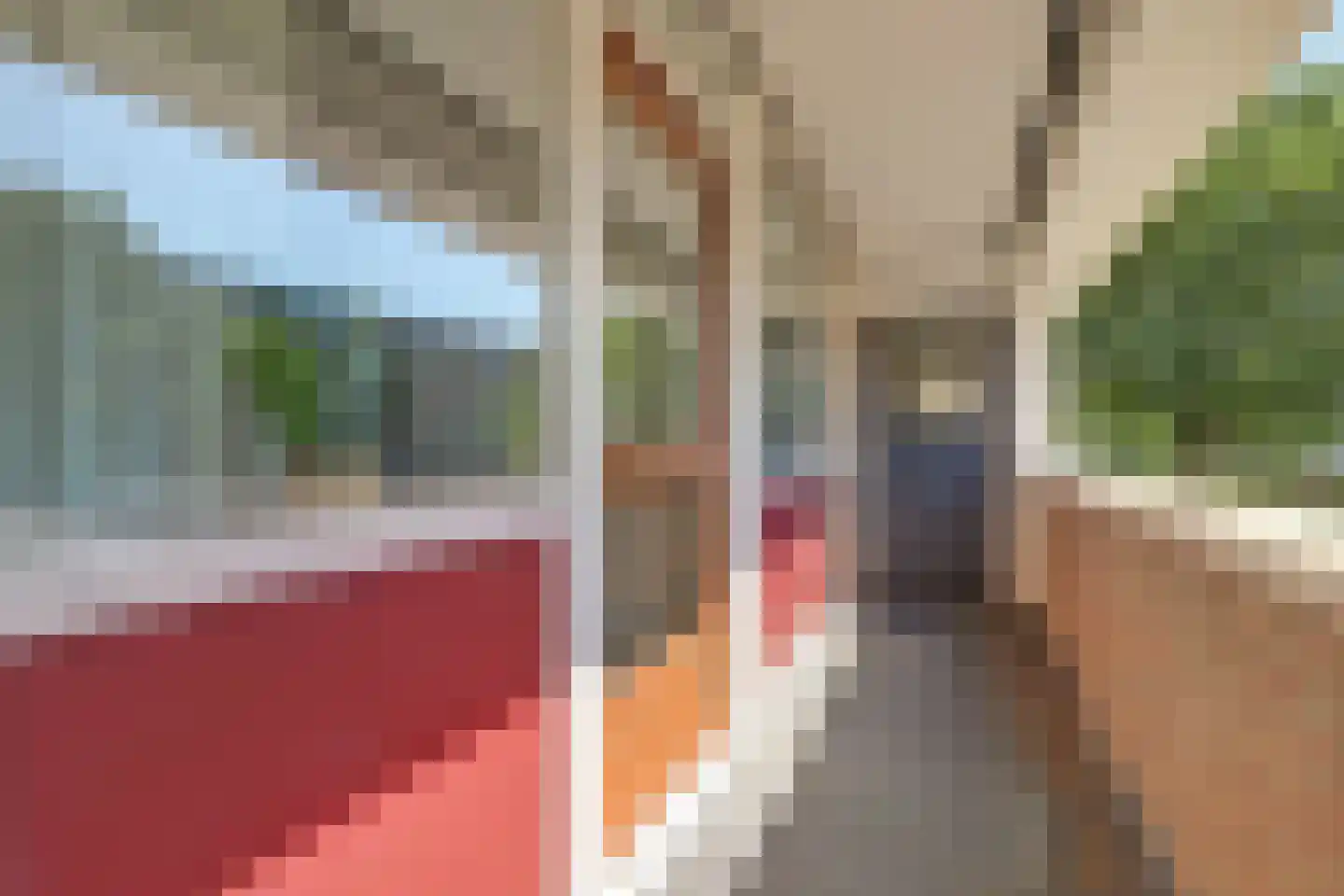 Jacob van Heemskerckstraat 19 's-Hertogenbosch thumbnail 33