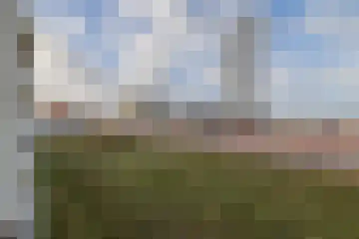 Jacob van Heemskerckstraat 21 Zandvoort thumbnail 21