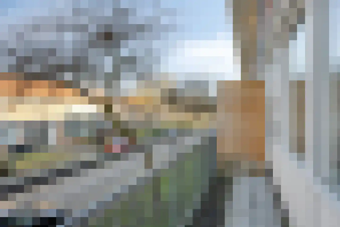 Jacob van Heemskerckstraat 23 's-Hertogenbosch thumbnail 9