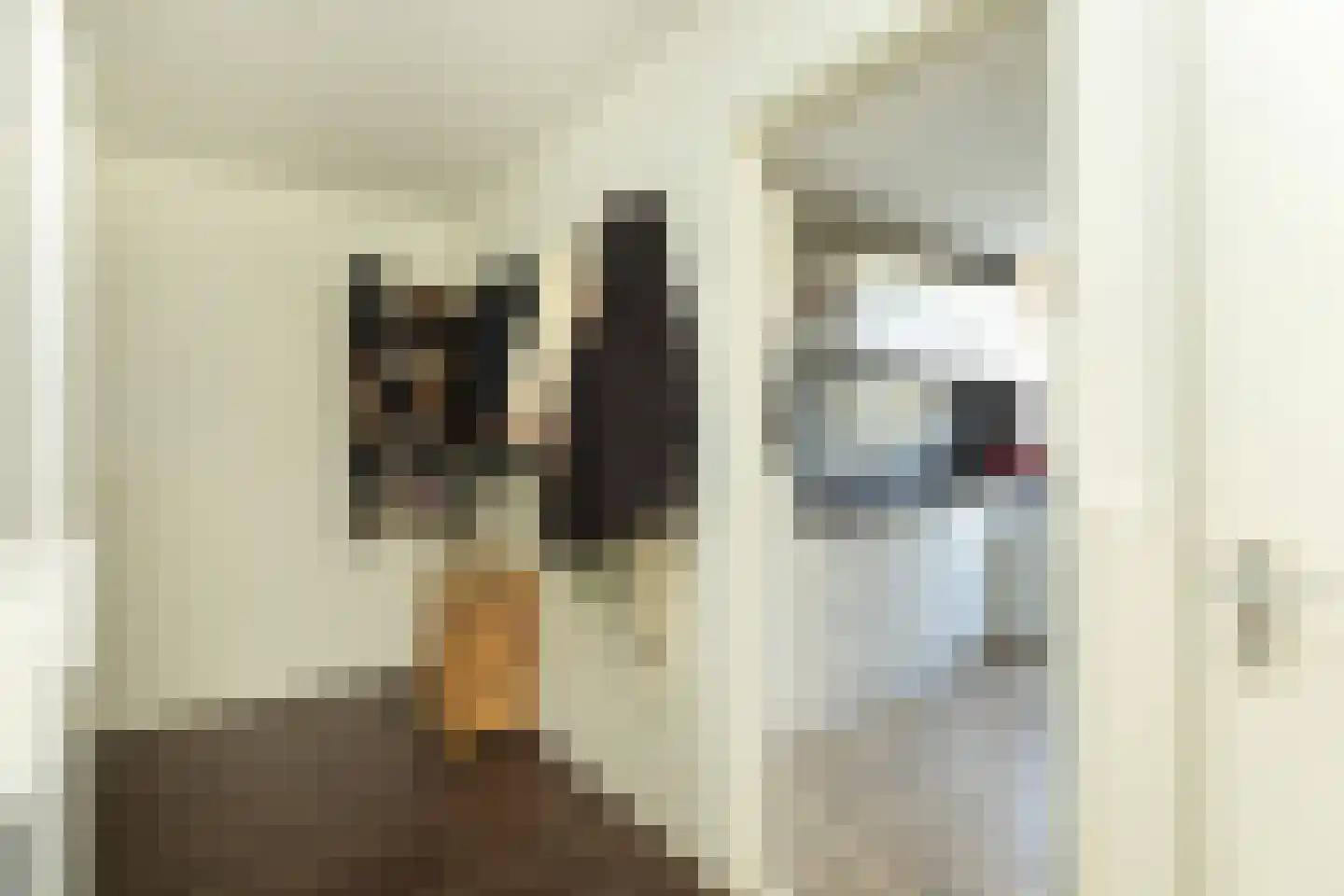 Jacob van Heemskerckstraat 25 Hilversum thumbnail 12