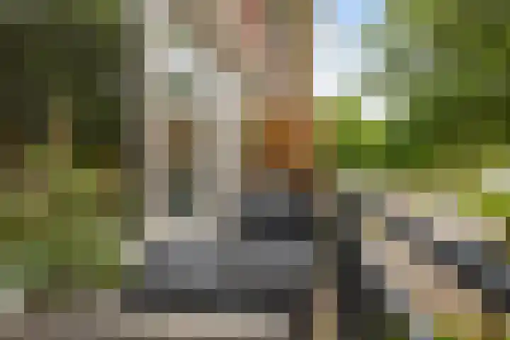 Jacob van Heemskerckstraat 27 's-Hertogenbosch thumbnail 23