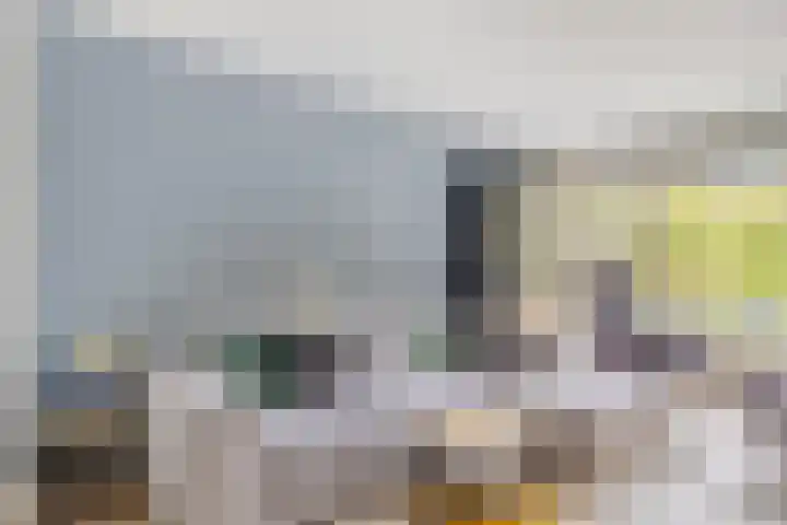 Jacob van Heemskerckstraat 31 's-Hertogenbosch thumbnail 11