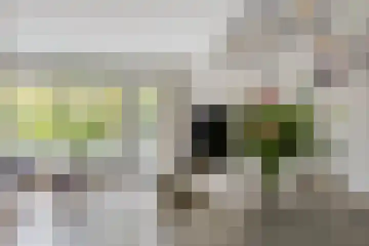 Jacob van Heemskerckstraat 31 's-Hertogenbosch thumbnail 17