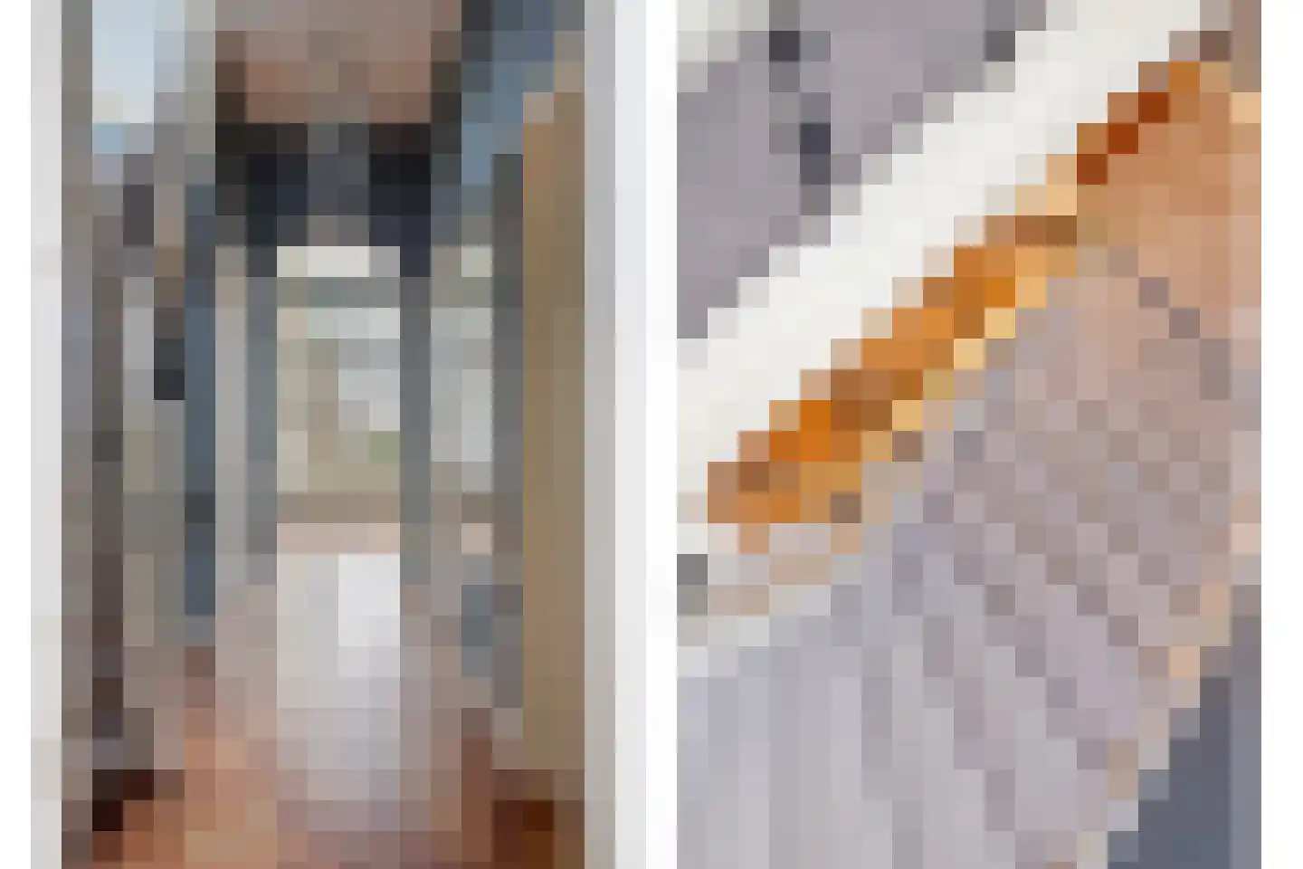 Jacob van Heemskerckstraat 32 Dordrecht thumbnail 17