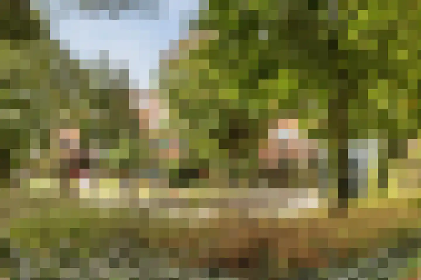 Jacob van Heemskerckstraat 39 Hilversum thumbnail 34