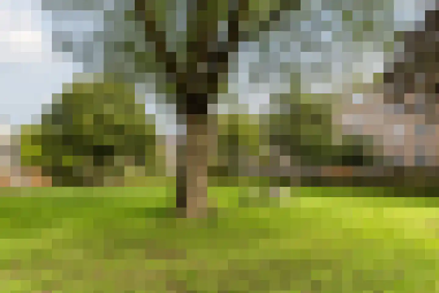 Jacob van Heemskerckstraat 39 Hilversum thumbnail 36