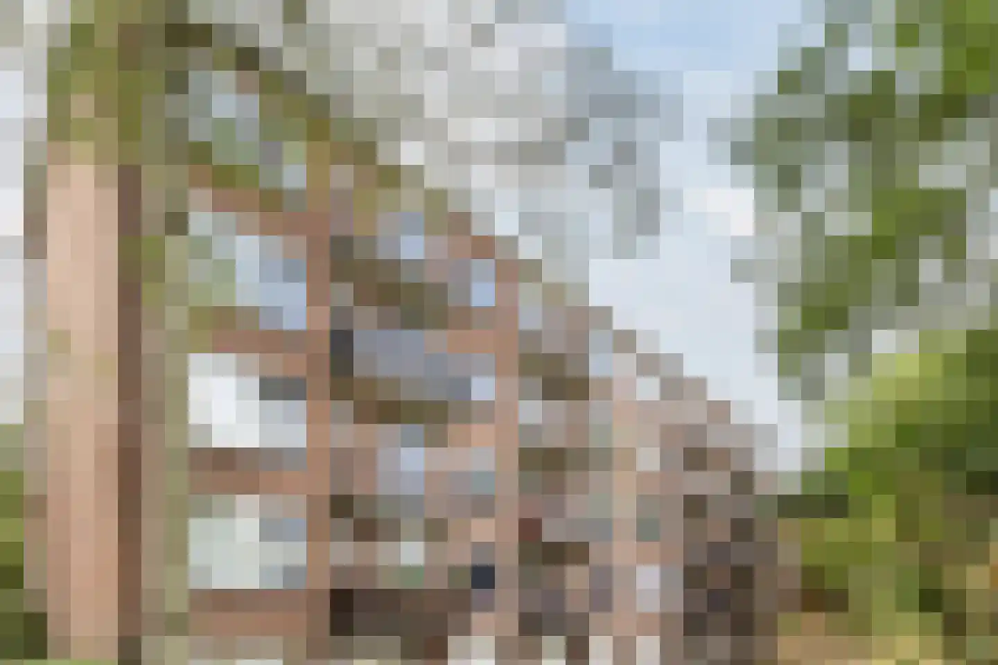 Jacob van Heemskerckstraat 39 Hilversum thumbnail 38