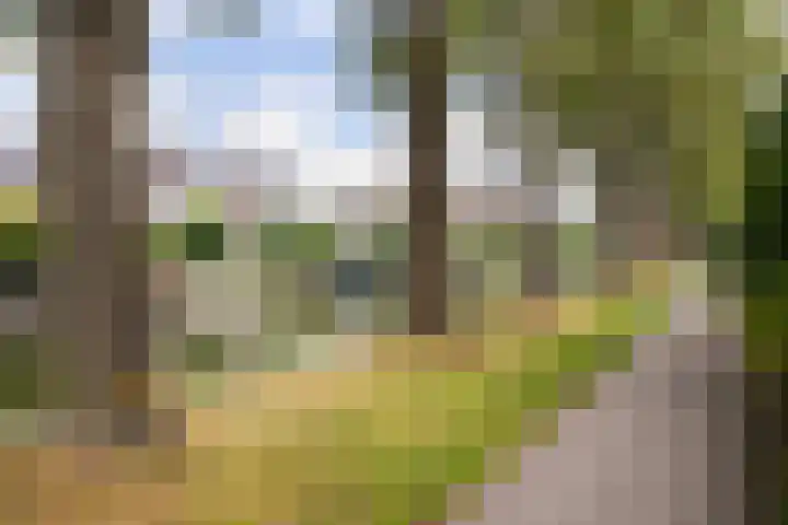 Jacob van Heemskerckstraat 4 IJsselstein thumbnail 47