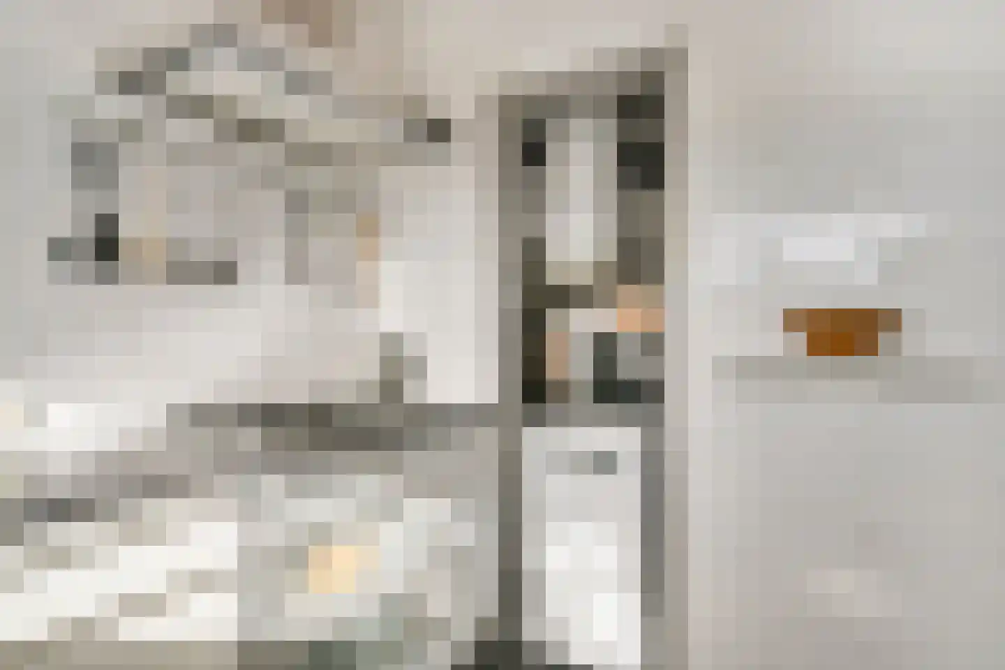 Jacob van Heemskerckstraat 49 's-Hertogenbosch thumbnail 16