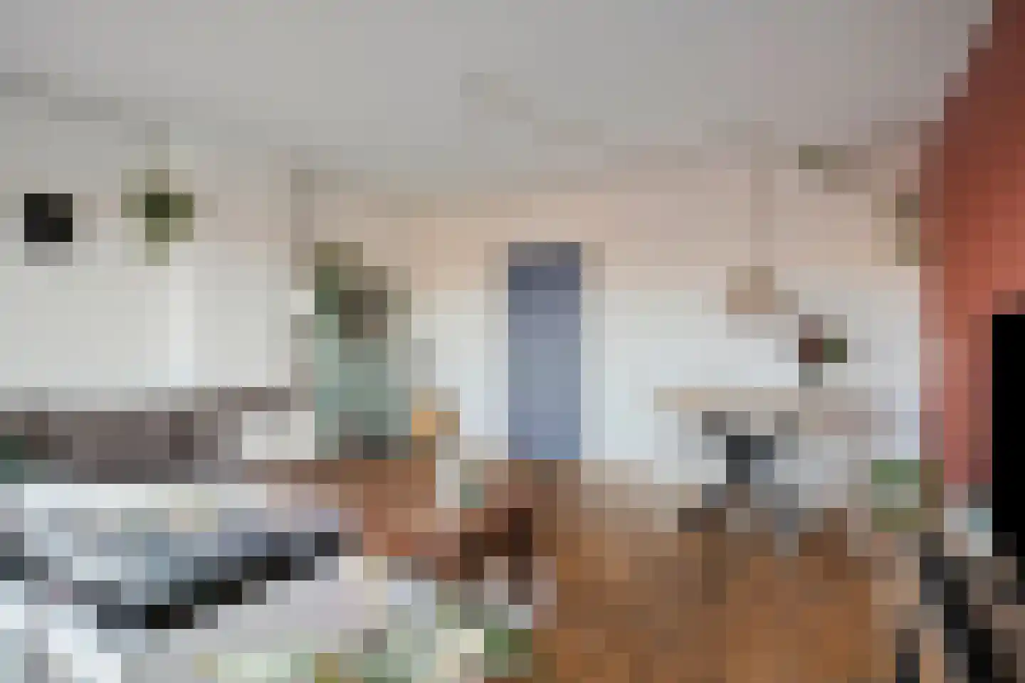 Jacob van Heemskerckstraat 49 's-Hertogenbosch thumbnail 7