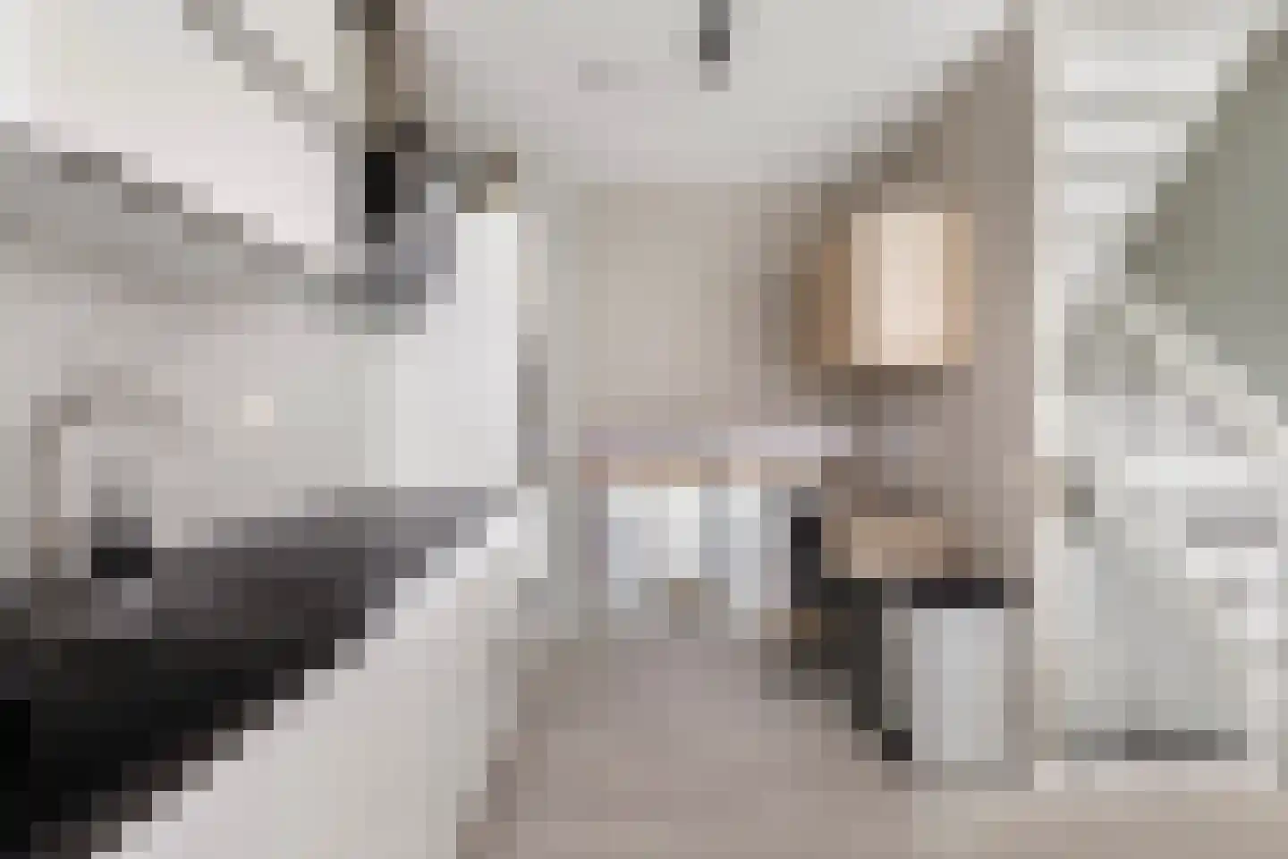 Jacob van Heemskerckstraat 64 Dordrecht thumbnail 14