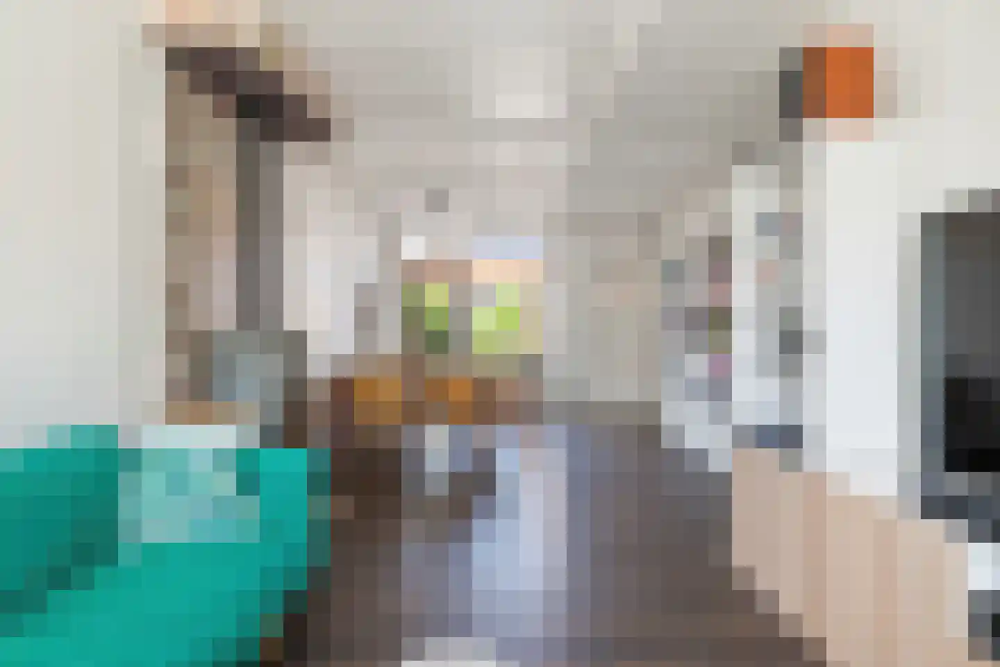 Jacob van Heemskerckstraat 78 Den Helder thumbnail 12