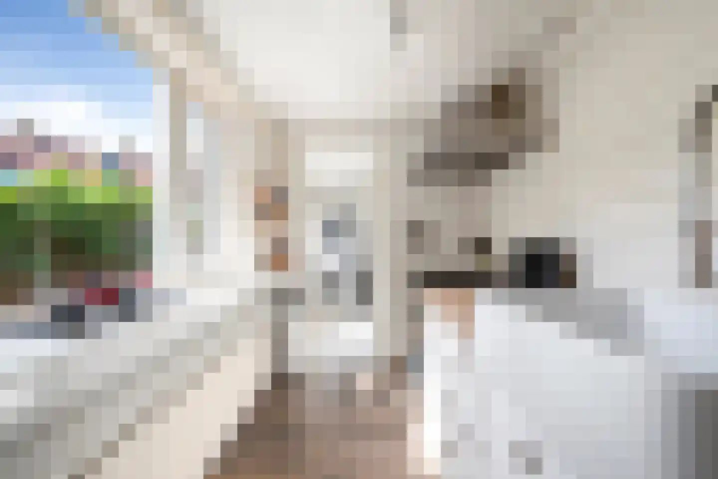 Jacob van Heemskerckstraat 78 Den Helder thumbnail 16