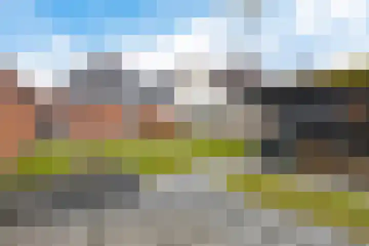 Jacob van Heemskerkstraat 4 Delfzijl thumbnail 11