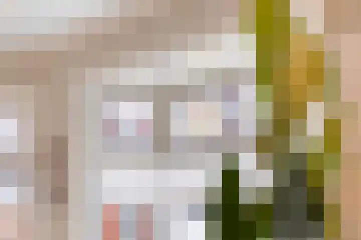 Jacob van Heemskerkstraat 4 Delfzijl thumbnail 30