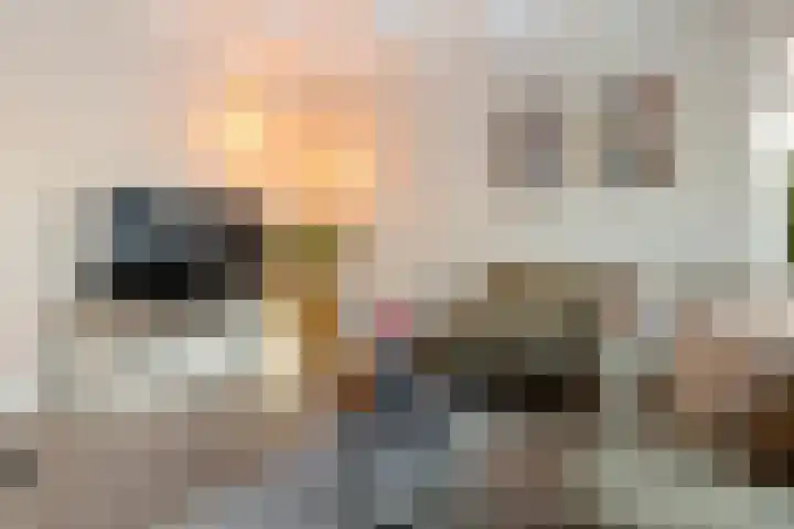 Jacob van Heemskerkstraat 4 Delfzijl thumbnail 32