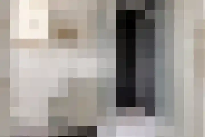 Jacob van Heemskerkstraat 4 Delfzijl thumbnail 45