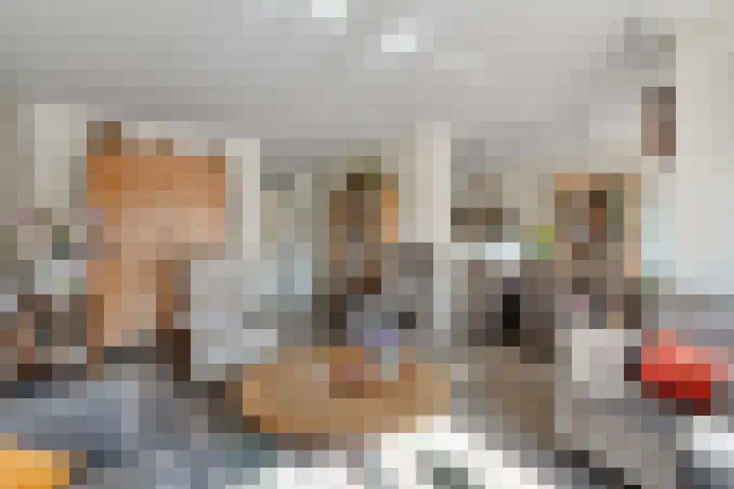 Jacob van Houtestraat 12 03 Nijverdal thumbnail 12