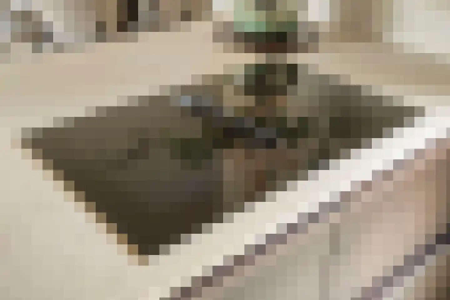 Jacob van Houtestraat 14 Nijverdal thumbnail 11