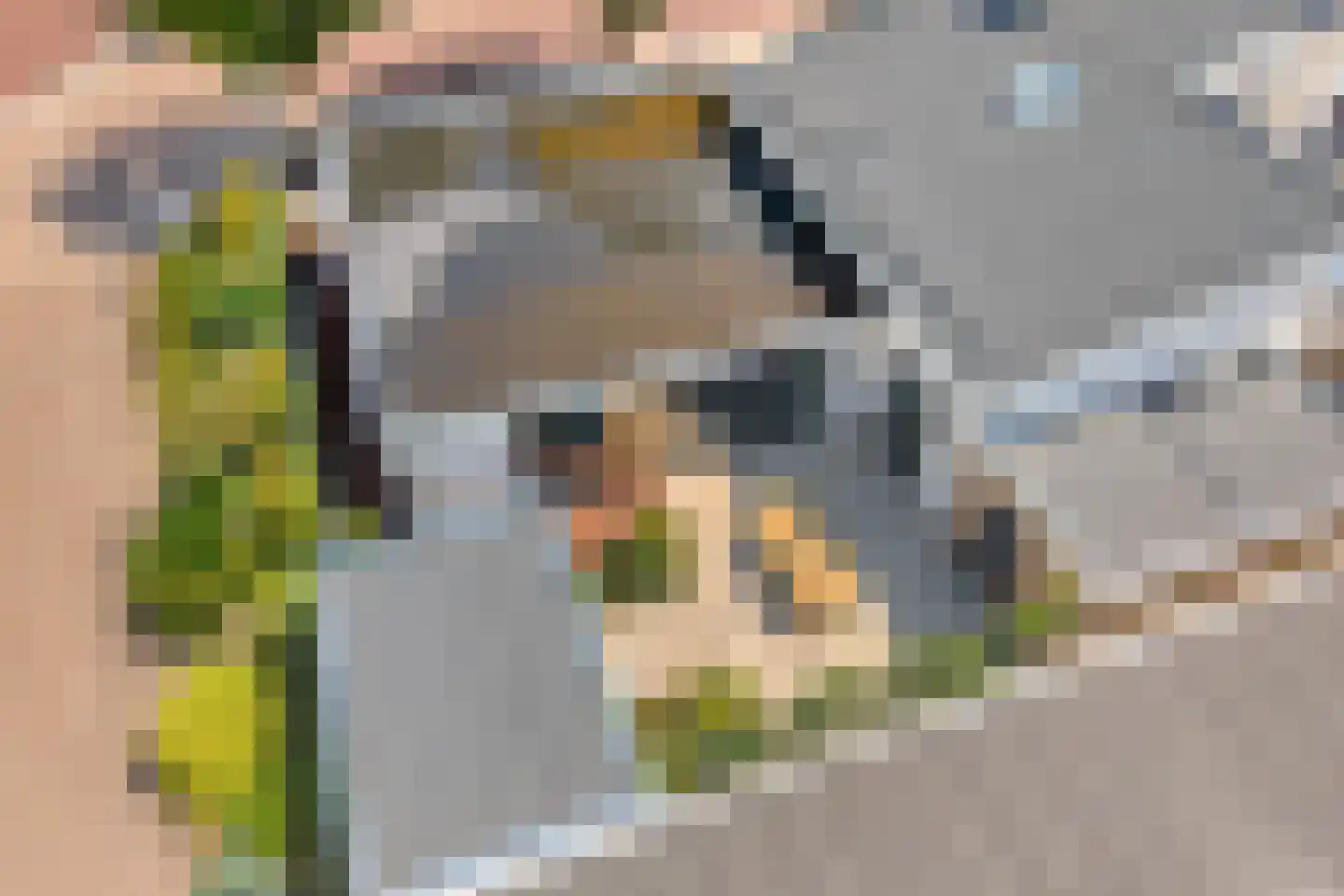 Jacob van Houtestraat 14 Nijverdal thumbnail 33
