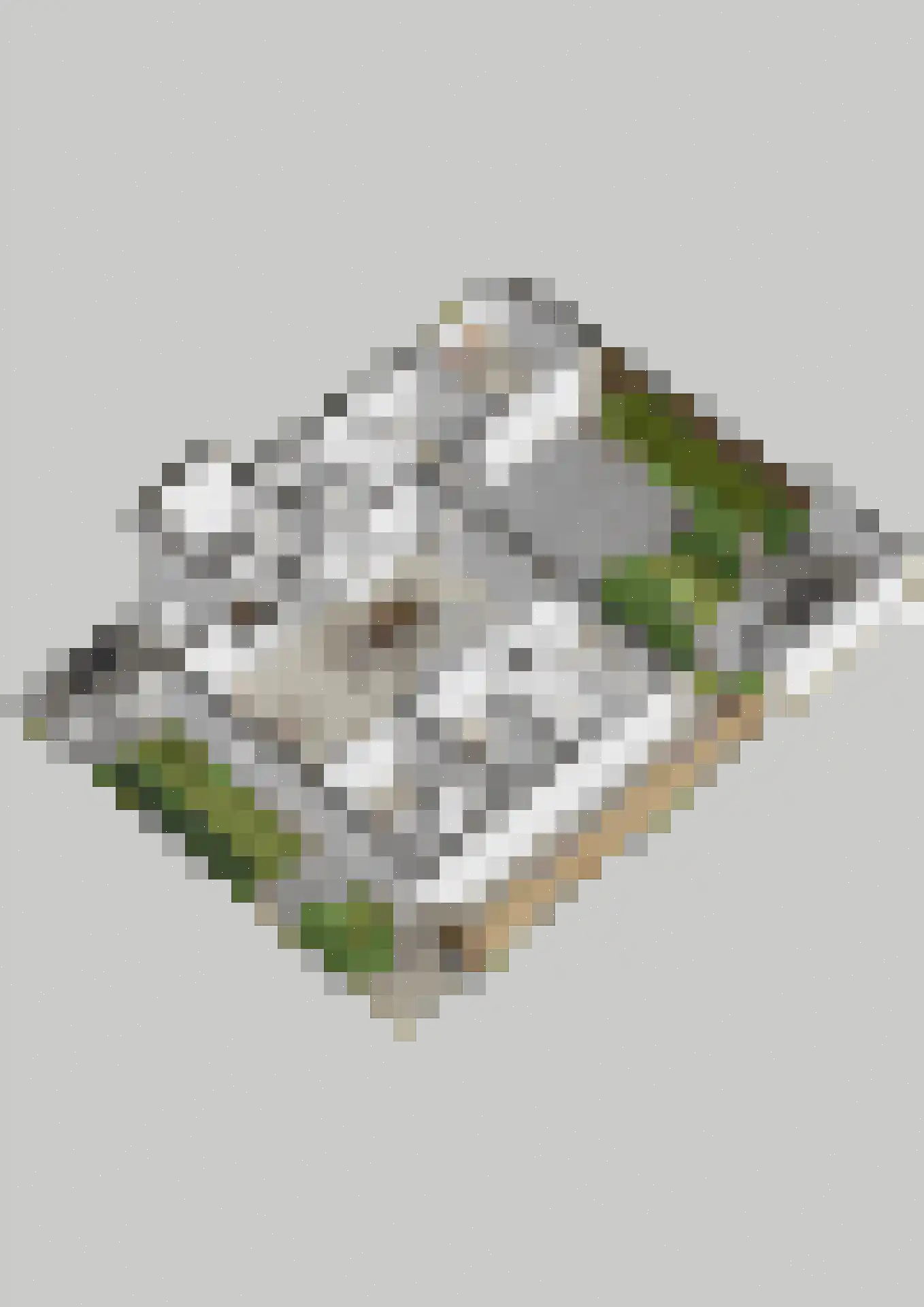 Jacob van Houtestraat 14 Nijverdal thumbnail 43