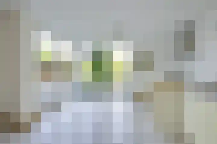 Jacob van Lennephove 19 Nieuwegein thumbnail 16