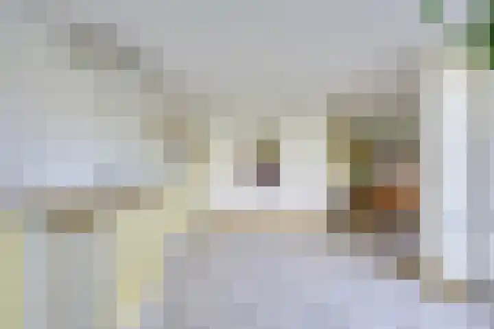 Jacob van Lennephove 19 Nieuwegein thumbnail 18