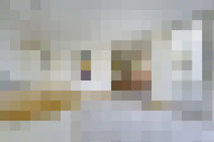 Jacob van Lennephove 19 Nieuwegein thumbnail 19