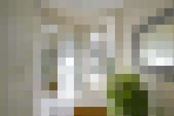 Jacob van Lennephove 19 Nieuwegein thumbnail 24