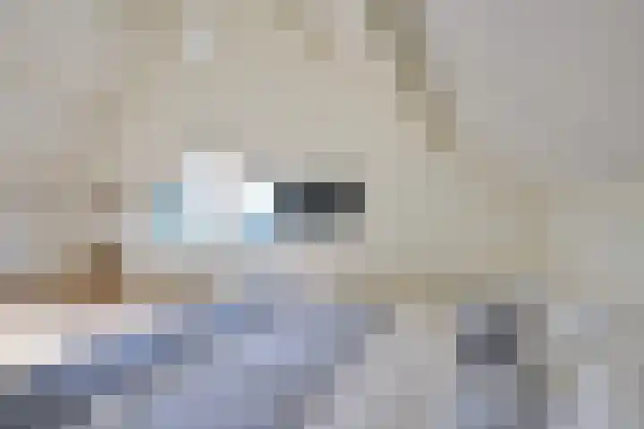 Jacob van Lennephove 19 Nieuwegein thumbnail 31