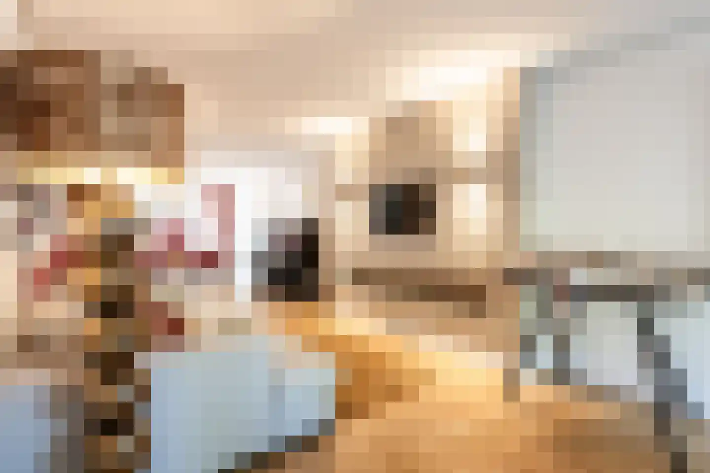 Jacob van Lennepkade 11 O Amsterdam thumbnail 7