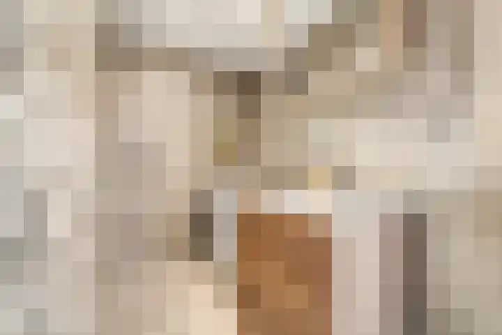 Jacob van Lennepkade 121 E Amsterdam thumbnail 14