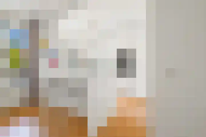 Jacob van Lennepkade 2 1 Amsterdam thumbnail 14