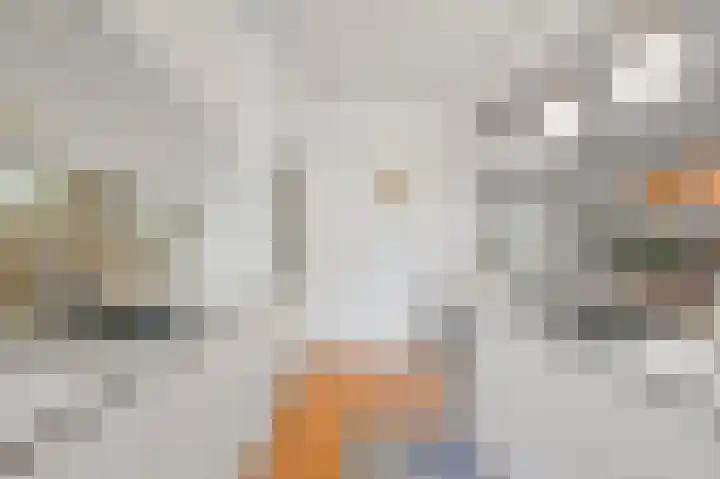 Jacob van Lennepkade 2 1 Amsterdam thumbnail 19