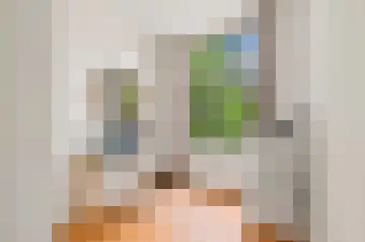 Jacob van Lennepkade 2 1 Amsterdam thumbnail 21