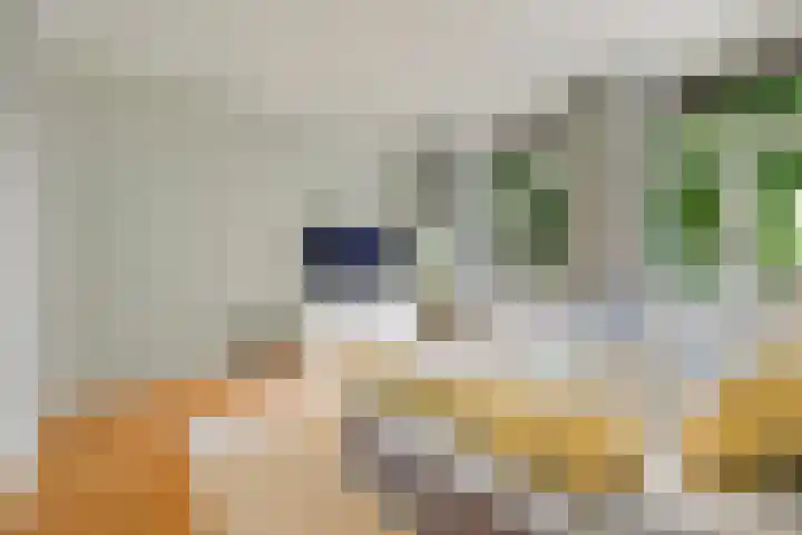 Jacob van Lennepkade 2 1 Amsterdam thumbnail 27