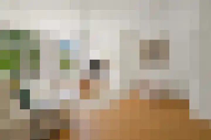 Jacob van Lennepkade 2 1 Amsterdam thumbnail 6