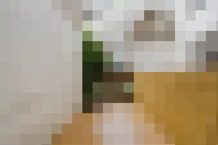 Jacob van Lennepkade 22 3 Amsterdam thumbnail 19