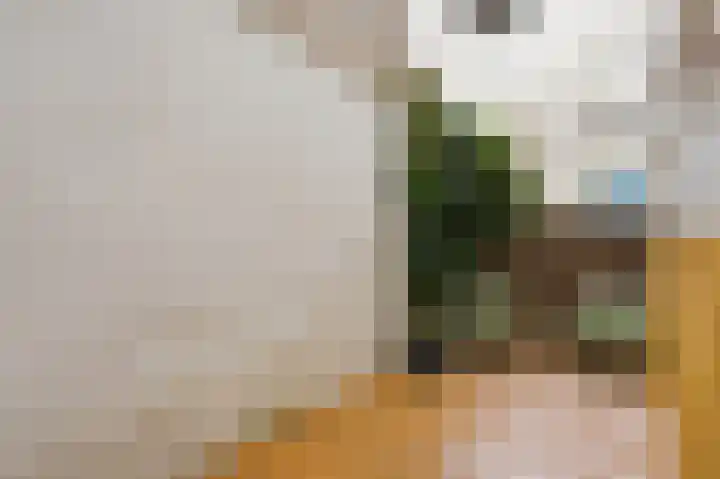 Jacob van Lennepkade 22 3 Amsterdam thumbnail 20