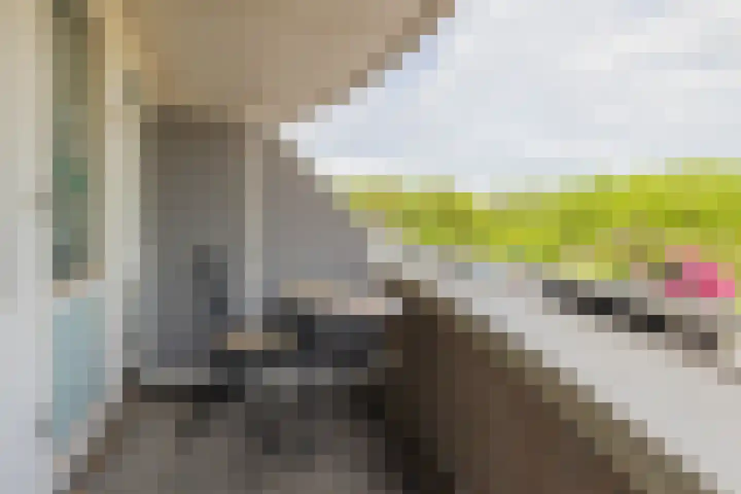 Jacob van Lennepkade 228 Amsterdam thumbnail 25