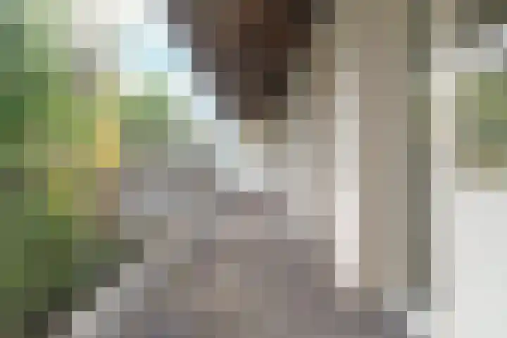 Jacob van Lennepkade 263 1 Amsterdam thumbnail 18