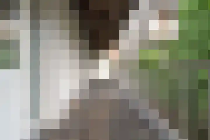 Jacob van Lennepkade 263 1 Amsterdam thumbnail 19