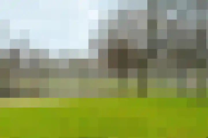 Jacob van Lennepkade 263 1 Amsterdam thumbnail 33